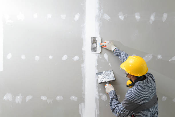 Best Drywall Installation  in Groesbeck, TX